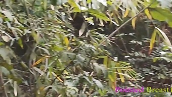 A Wild Encounter In The Countryside As A Passionate Boyfriend Has Intense Sex With A Local Girl Until Climax